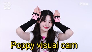Poppy visual cam - Stayc