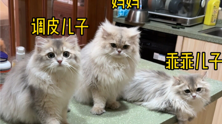 On the deterrent power of mother 😂