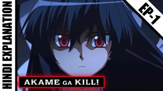 Akama ga kill Episode 1 Hindi Explanation