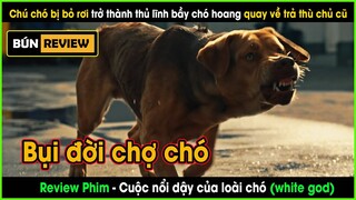 Chú chó bị bỏ rơi trở thành thủ lĩnh của bầy cho hoang - REVIEW PHIM: CUỘC NỔI DẬY CỦA LOÀI CHÓ