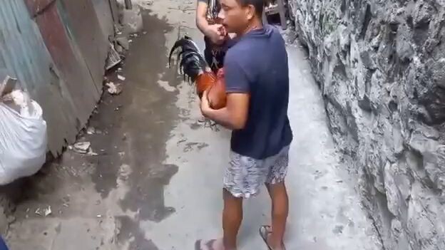 mga balda ko manalo pa