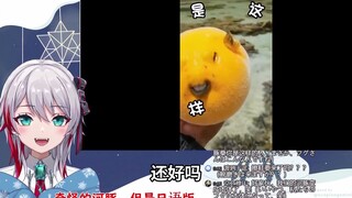 日本天然小姐姐看《奇怪的河豚，但是日语版》