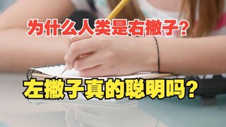 Tại sao 99% mọi người đều thuận tay phải? Người thuận tay trái có thực sự thông minh không?