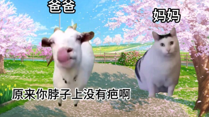 【Meme mèo】Câu chuyện lúc đầu bố tưởng mẹ có vết sẹo trên cổ