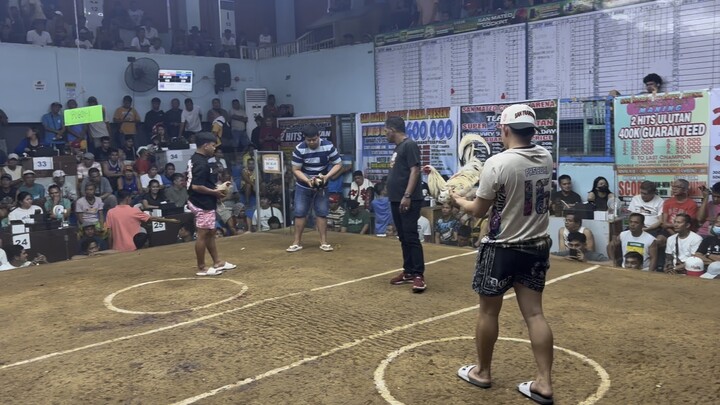 Oldaper white   Lose