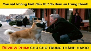 Hachi sẽ ngồi đợi chủ đến cuối đời | Review Tóm Tắt Phim Hachiko chú chó trung thành