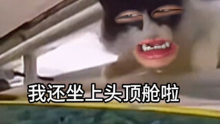 《你想要我九条命啊》