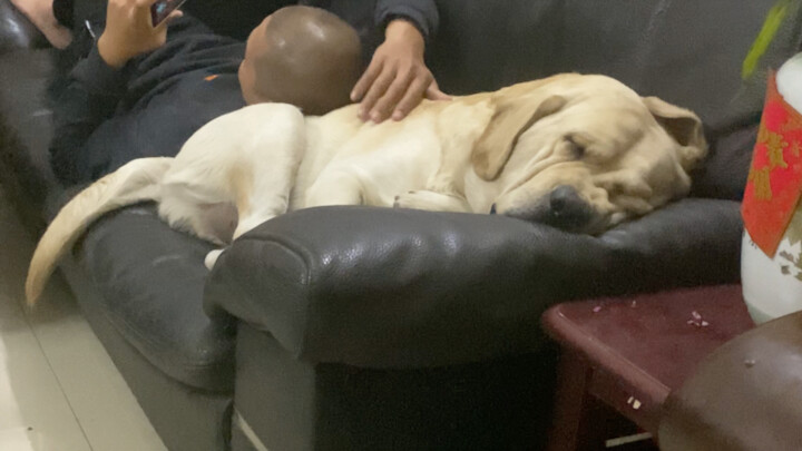 หนุ่มหล่อ: ถ้าไม่มีกล้องวงจรปิดบันทึกไว้ ก็แทบไม่อยากเชื่อเลยว่ามนุษย์จะมีด้านที่น่าเกลียดและชั่วร้า