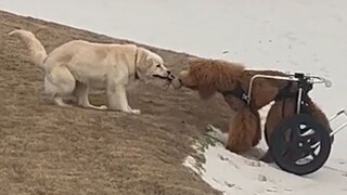“When you can’t stand it anymore, I suggest you take a look at this.”