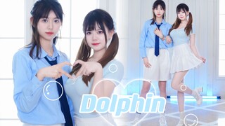 Độc quyền ngày lễ tình nhân ~ Bài hát tươi mát và ngọt ngào của Dolphin🐬 ~