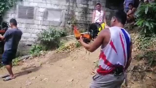 hindi pinaporma kalaban