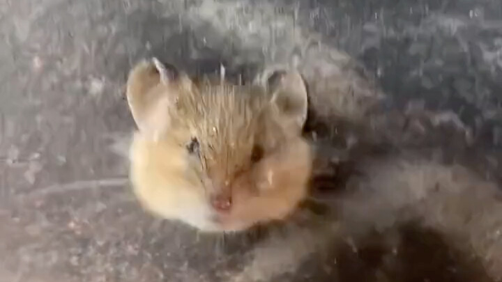 Lebih hangat di dalam sini.