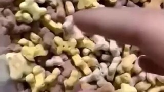 Niki Niki