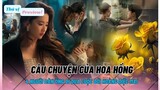 [ Preview Tóm Tắt Nội Dung] Câu Chuyện Hoa Hồng/The Tale of Rose| Lưu Diệc Phi