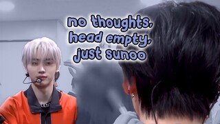sunsun and their solo stan agenda (mostly sunghoon..)