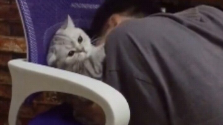 Miao: That was my first enlightenment.