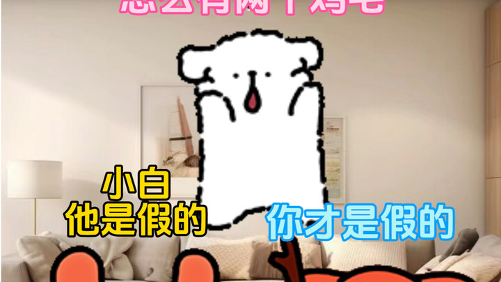 真假小鸡毛