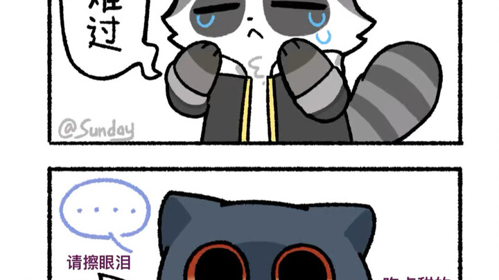 When different classmates noticed the raccoon was upset
