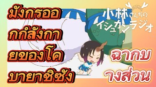 [โคบายาชิซังกับเมดมังกร] ฉากบางส่วน | มังกรออกกำลังกายของโคบายาชิซัง