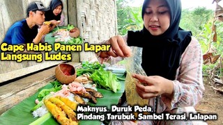 Wah.. Seenak Ini, Makan di Saung Kebun, Beuleum PEDA, Sambel Terasi, Lalapan Mentah, Masakan Kampung