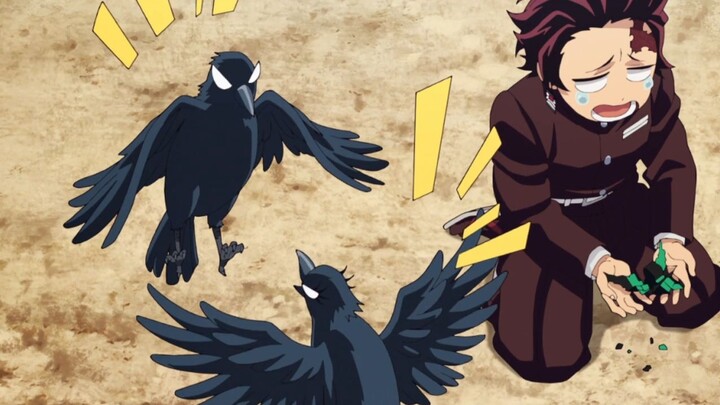 Tanjiro's crows couldn't stand Kasumi's crows, and in the end the two birds got married [Demon Slaye