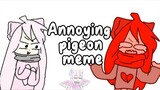 Annoying pigeon meme ( lazy btw )