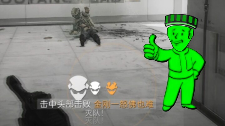 辐 射 5 ：三 角 洲 行 动