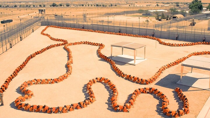 Phiên bản cuối cùng của rết người, rết trăm người! Hiệu ứng ăn phân bùng nổ!