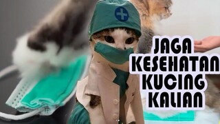 KUCING TIDAK MENULARKAN VIRUS CORONA!!