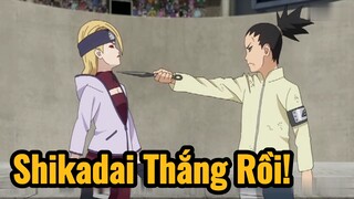 Shikadai Thắng Rồi!