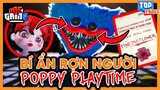 Top 5 Bí Ẩn Rợn Người Trong Poppy Playtime | Huggy - meGAME