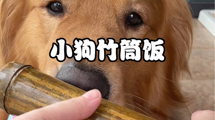 Aunties! Let’s eat puppy bamboo rice today! Hurry up and join in!