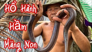 Rắn Hổ Hành Siêu To Hầm Măng Non Đầu Mùa