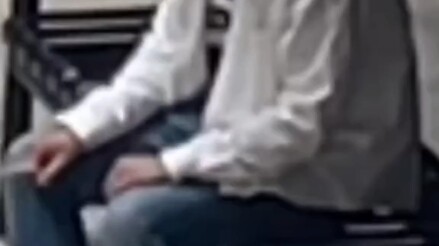 สุนัขหลายตัวที่งาน