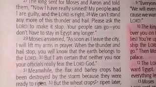 Daily Verse.                  Exodus 9:27-35
