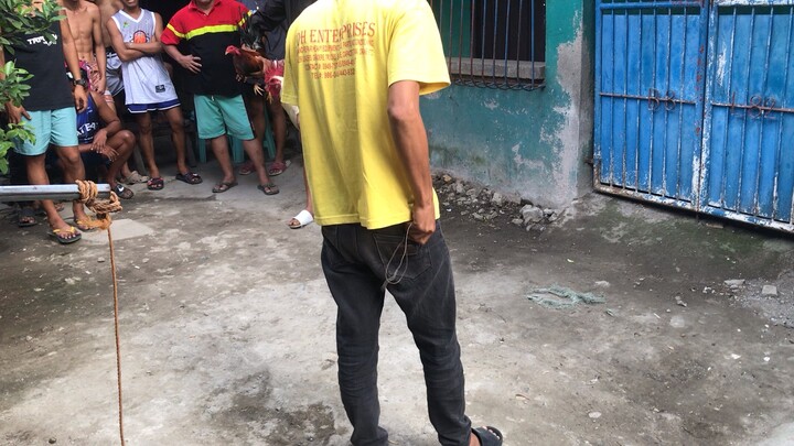 dayo dayo tinola line hindi ulit nasugatan (3x winner)