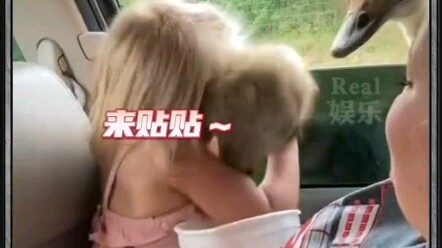 النعامة: هذا سعر آخر!