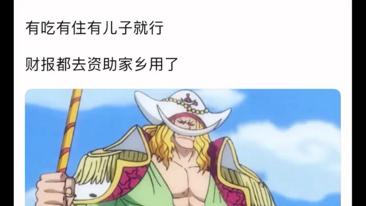 Isn't Whitebeard's ambition quite small?