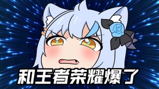 意识到爆言后开始疯狂叠甲套盾的大白猫【艾尔莎】