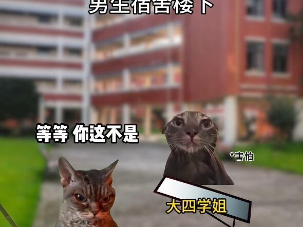男生一辈子拒绝不了的东西