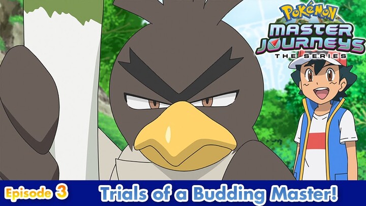 Pokémon Master Journeys | EP3 Trials of a Budding Master! | Pokémon Asia ENG