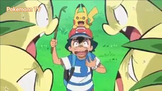 Pokemon Sun & Moon (Ep 20.2) Khám phá đảo Kho báu #Pokemon_tap20