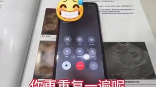 猫猫安乐了还能治嘛