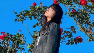 玫瑰花拍照技巧 玫瑰花拍照姿势玫瑰花拍照角度