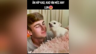 Đây là ny bạn sau một ngày đi mệt mỏi về tâm sự những bức xúc với bạn 😅thucung animals foryou fyp pet yeudongvat dog cute