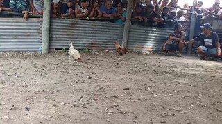 muntikan pa (Obong Fiesta) LW