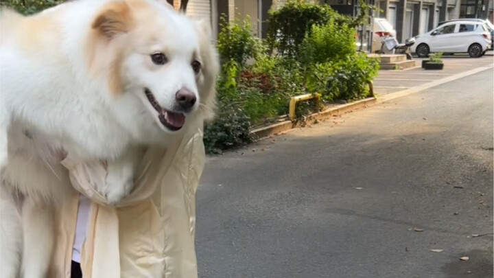 Mẹ cuối cùng cũng đã về rồi