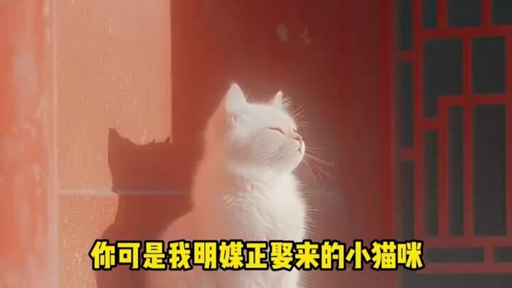 The Ritualistic Way Ancient People Kept Cats