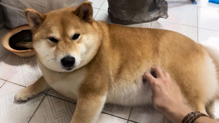 أنا أدرس الهندسة المعمارية، وهذا هو الدعامة الأساسية.