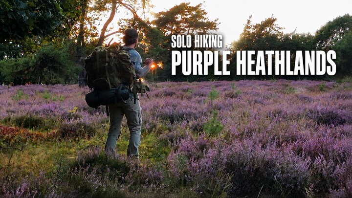 Solo Hiking the Purple Heathlands